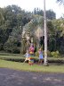 Caro, girls and travelers palm, Tahiti, 05/00