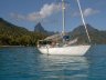 Opunohu bay, Moorea - Tress in hammock, 05/00