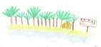 Palm Beach - Xmas, 01/00